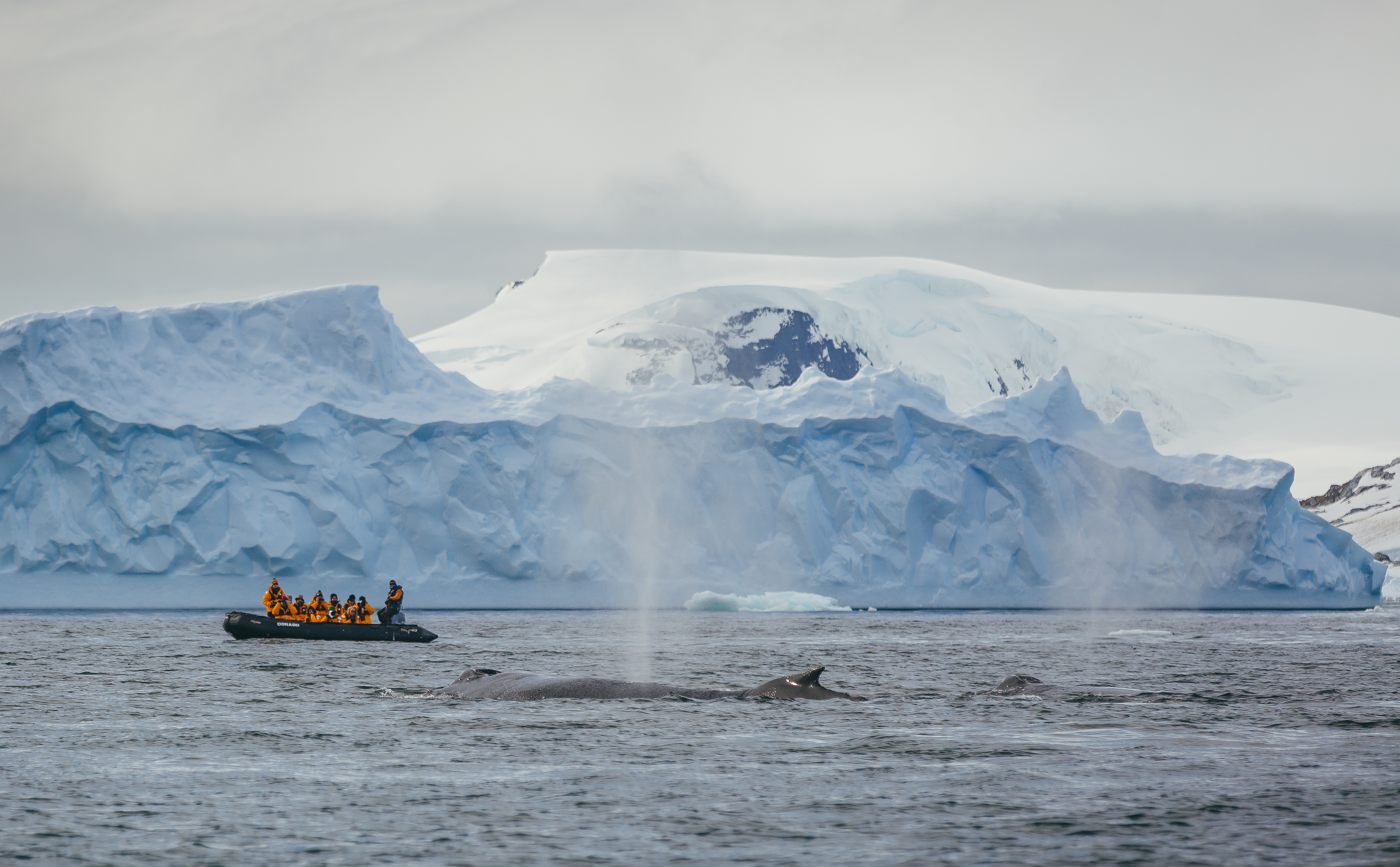 Antarctic Express: Fly the Drake