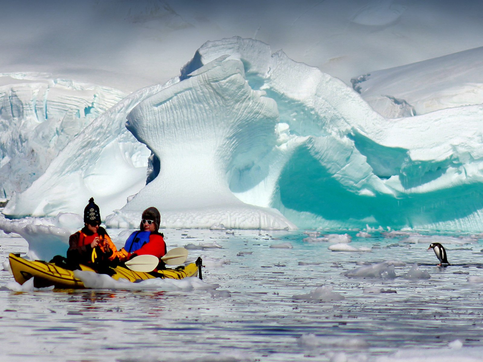 Antarctic Express: Fly South, Cruise North